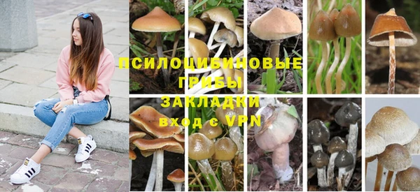 прущий лед Балахна