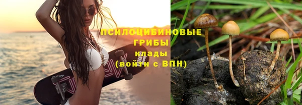 ALPHA-PVP Баксан