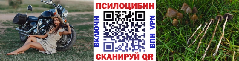 купить наркотик  Новый Уренгой  Галлюциногенные грибы MAGIC MUSHROOMS 